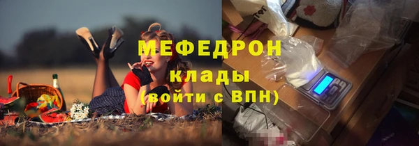 гашик Верея