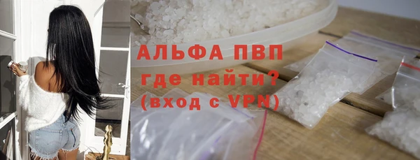 гашик Верея