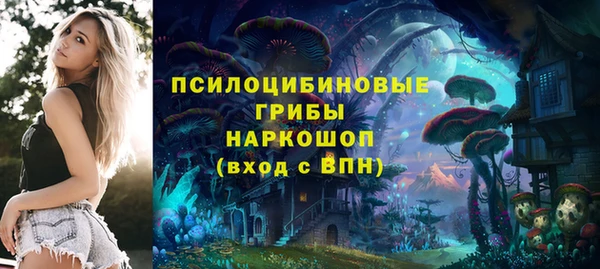 гашик Верея