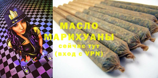 гашик Верея