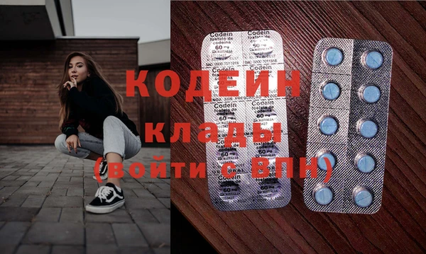 гашик Верея