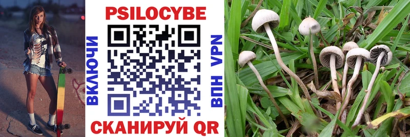 магазин Славянск-на-Кубани Псилоцибиновые грибы Cubensis